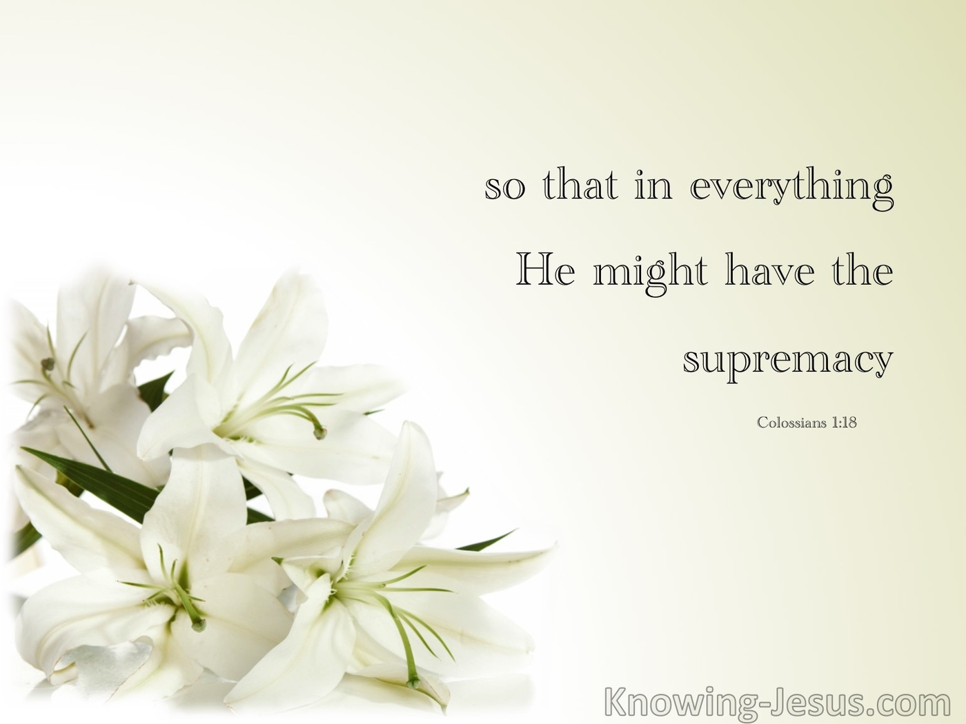 Colossians 1:18 Thar In Everything He Is Supreme (cream)